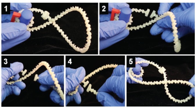 3D نماذج الطباعة DNA 3D printing DNA models
